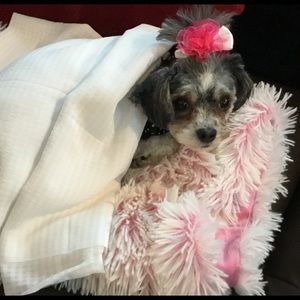 Meet your Posher, Heather